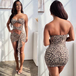 Sexy leopard dress